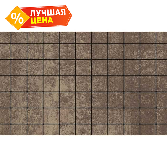 Плитка тротуарная Квадрат (ЛА-Линия) Б.3.К.6 Листопад гладкий xаски 100x100x60 мм